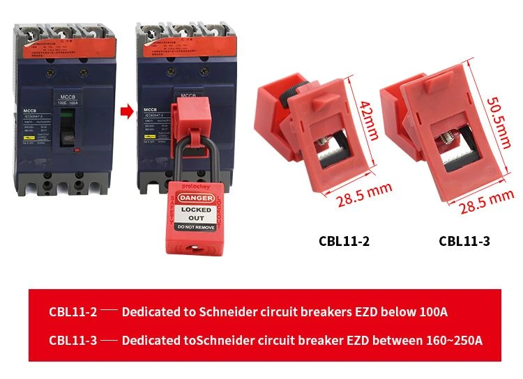 CBL11-2-CBL11-3_01